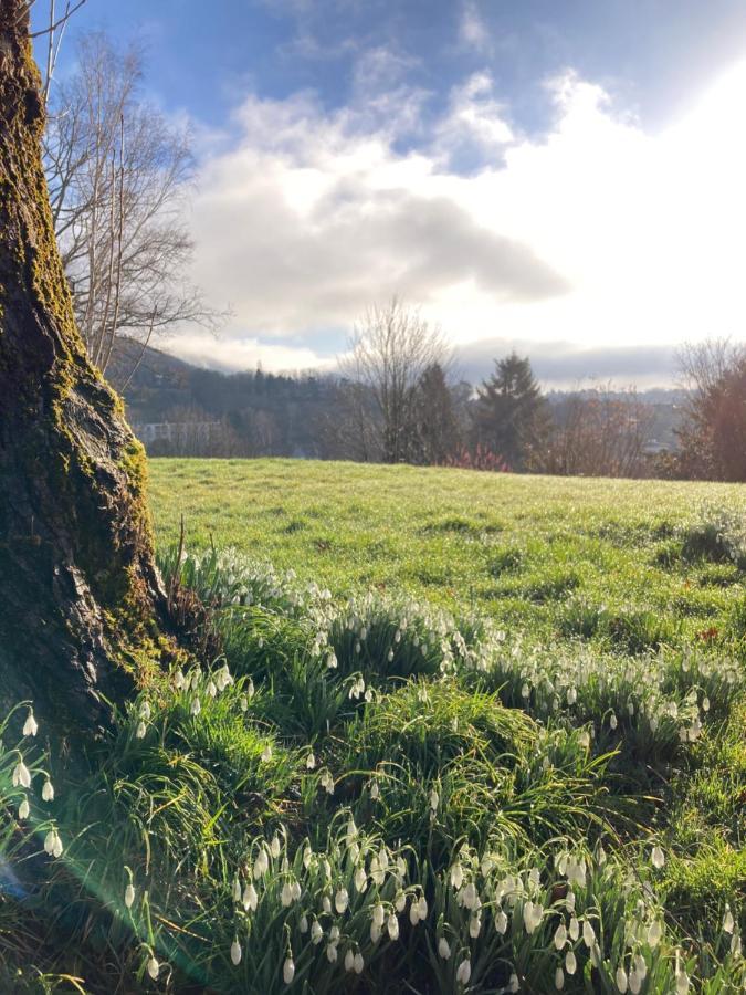 La Tuilerie Chambres D'Hotes Saint-Die-des-Vosges Eksteriør bilde